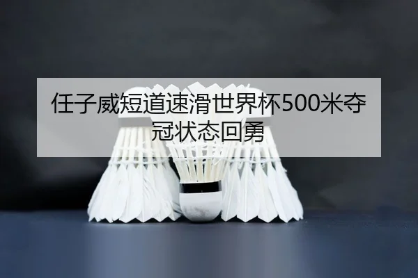 ren-zi-wei-duan-dao-su-hua-shi-jie-bei-mi-duo-guan-zhuang-tai-hui-yong-2-307.jpg